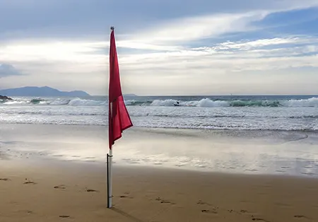 Surveillance des drapeaux